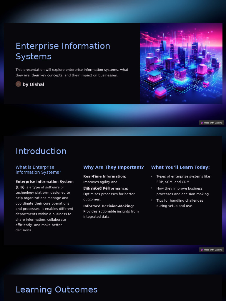 Understanding Enterprise Information Systems | PDF | Customer ...
