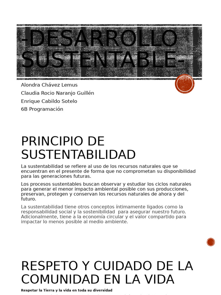 Principios del Desarrollo Sustentable | PDF | Sustentabilidad | Entorno ...