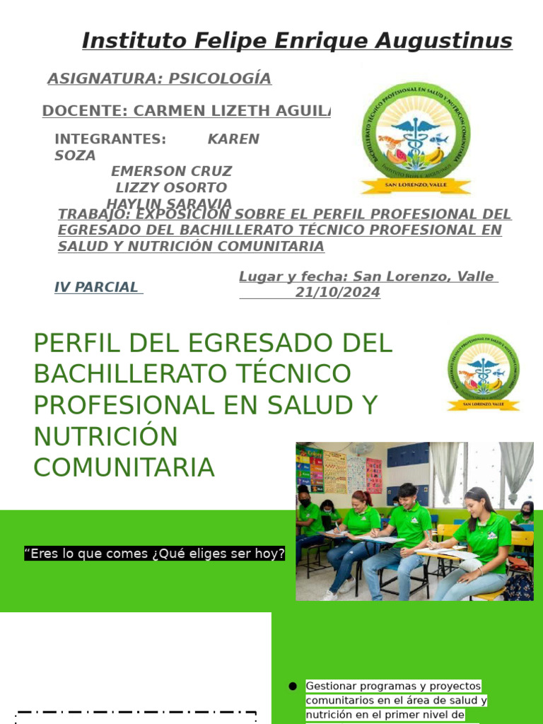 Presentación de Perfil Profesional | PDF