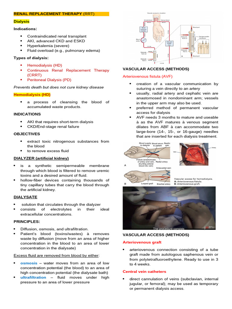 Overview of Renal Replacement Therapy | PDF | Hemodialysis | Kidney