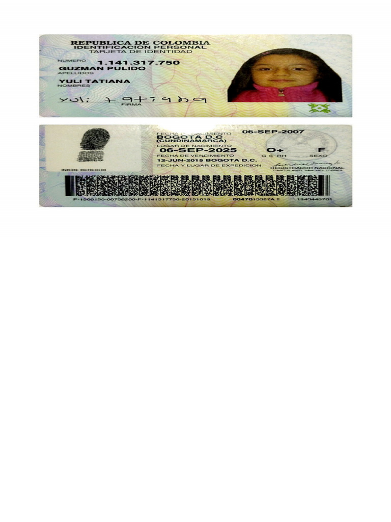 T.I Tatiana Guzmán | PDF