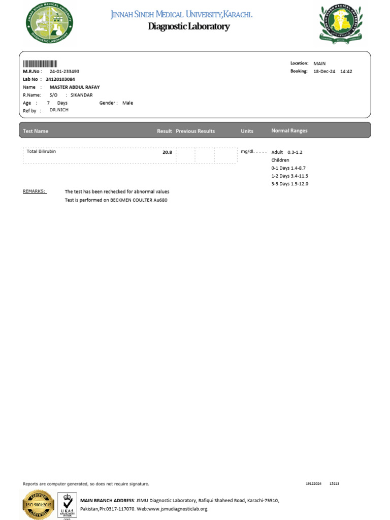 E Report R (Rafy1 | PDF