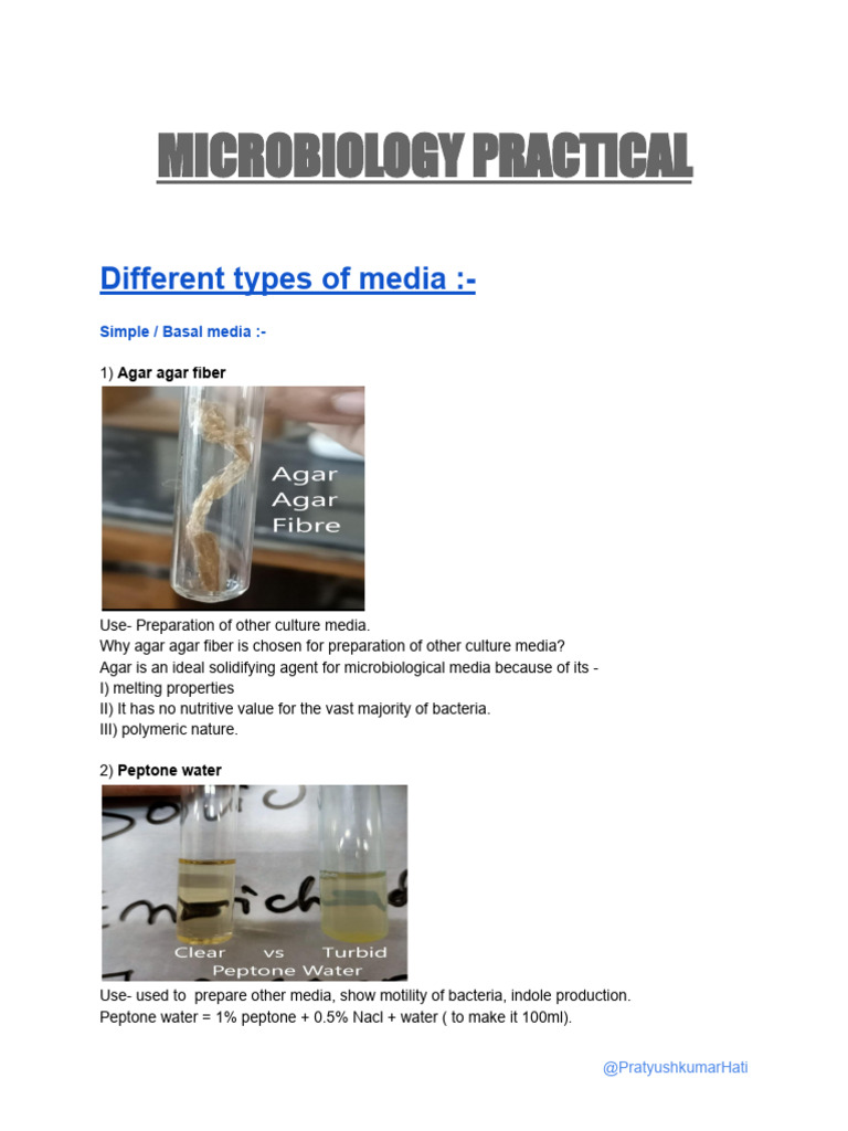 Microbiology Practical | PDF | Growth Medium | Agar