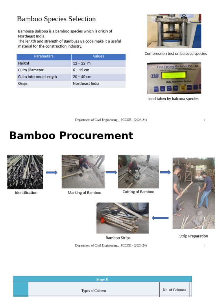 Bamboo Species for Construction Use | PDF
