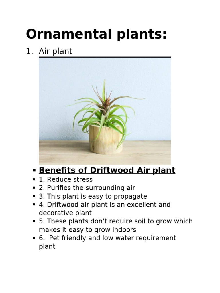 Ornamental Plants | PDF