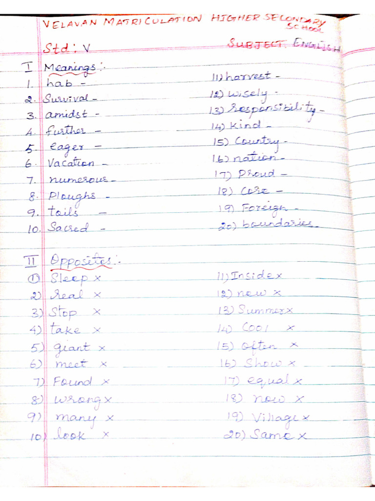 5th English question pattern | PDF