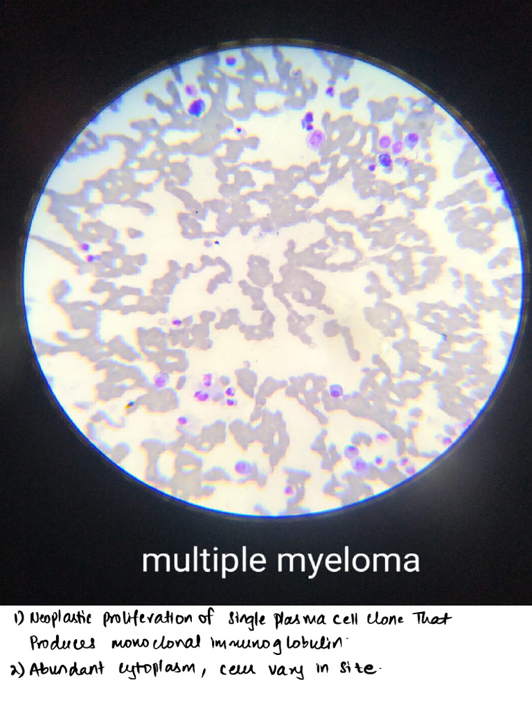 Histopathology Charts With Identification Points | PDF