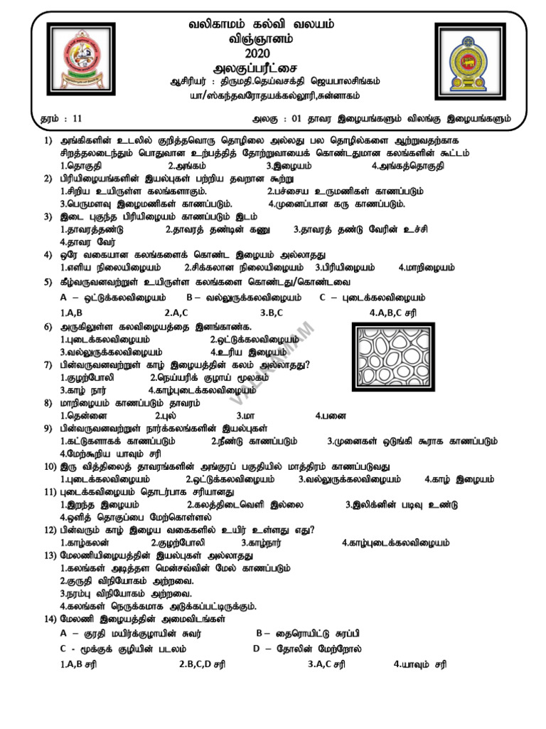 Grade 11-Science-Unit Exam - All Units-1509380950 | PDF