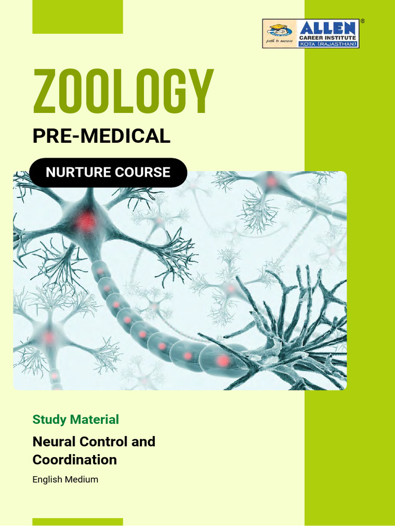 Neural Control and Coordination - Theory | PDF | Chemical Synapse ...