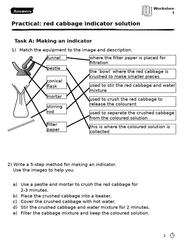 Red Cabbage Indicator Solution Guide | PDF