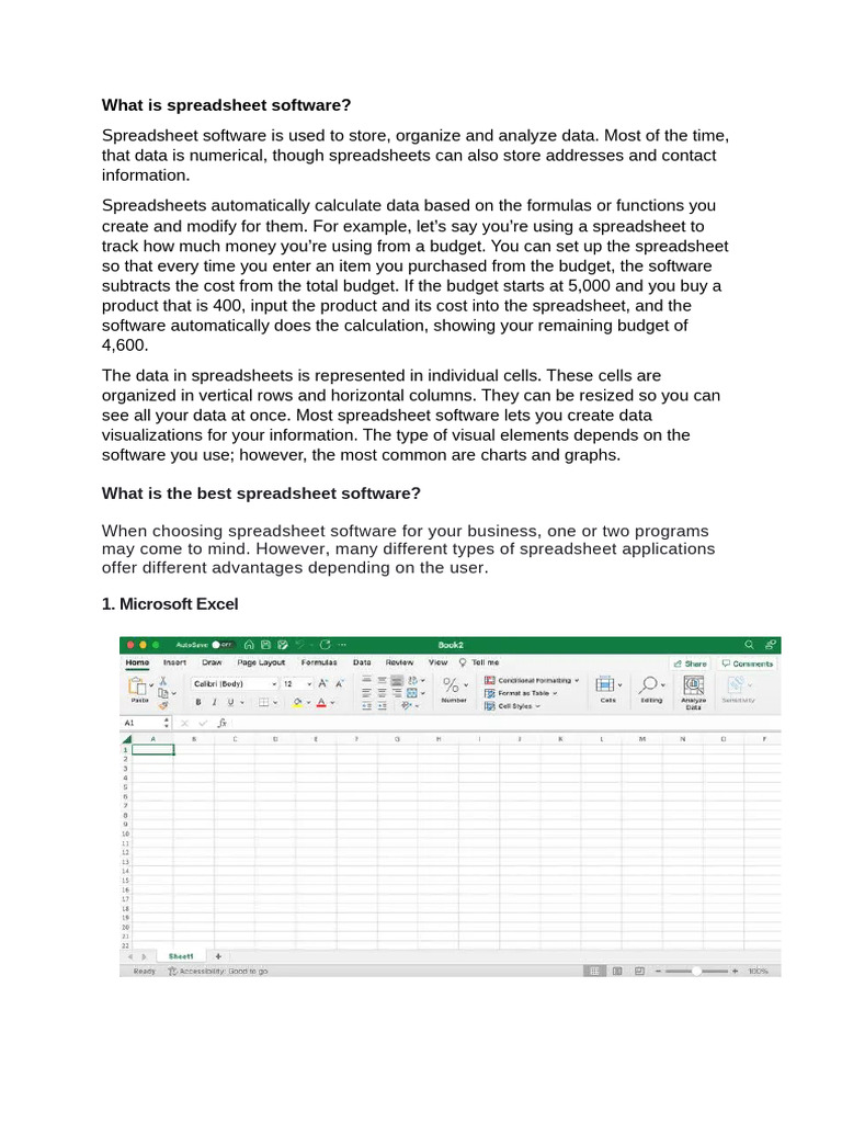 Understanding Spreadsheet Software | PDF | Spreadsheet | Computing