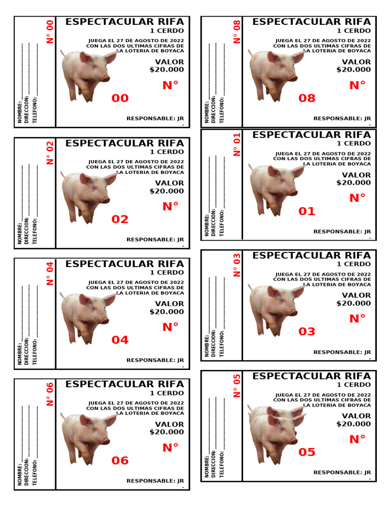 Rifa de Cerdo: Lotería Boyacá 2022 | PDF