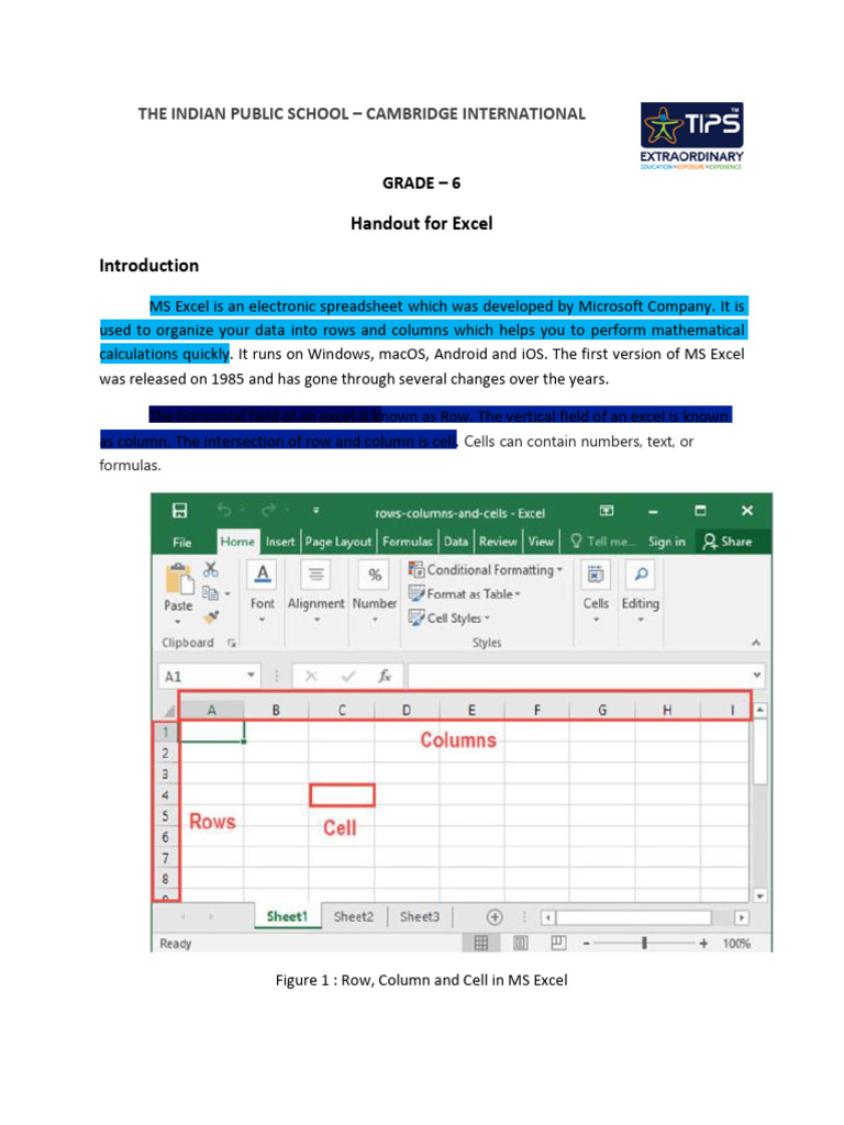 Unit 3 handout pdf microsoft excel division mathematics 