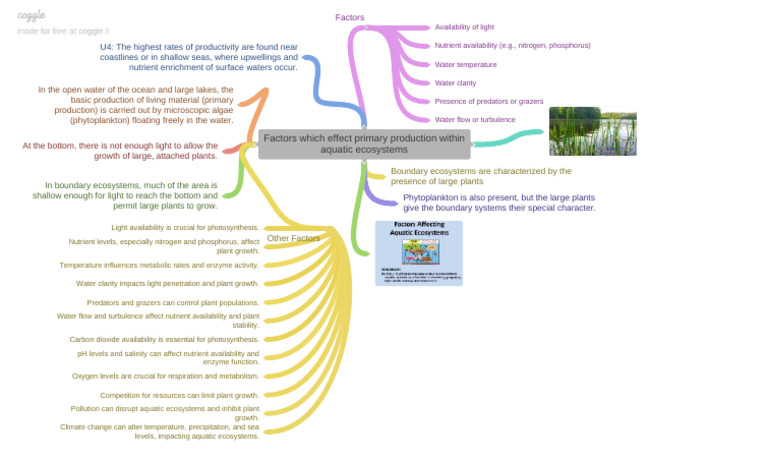 Aquatic Ecosystem Mind Map Factors | PDF | Phytoplankton | Ecosystem