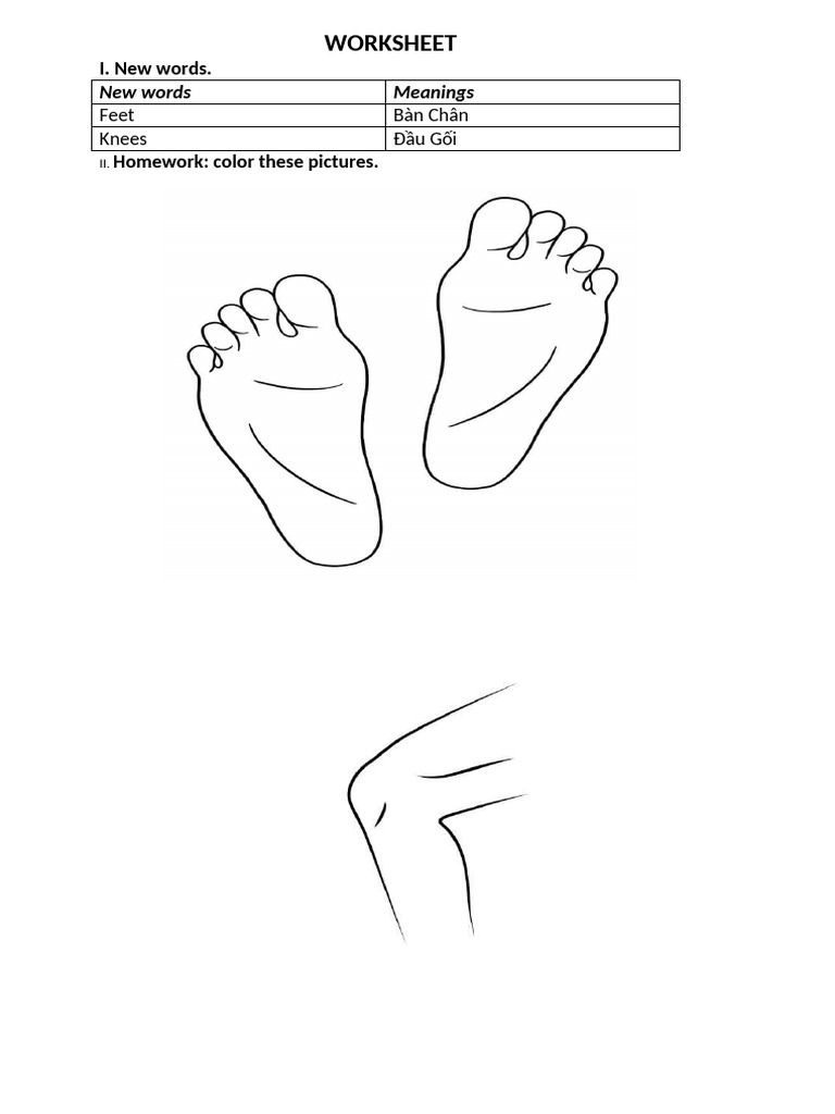 Vocabulary Worksheet: Feet & Knees | PDF