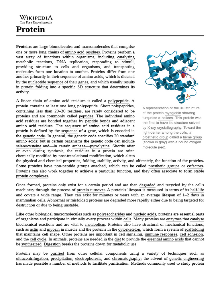 Protein Synthesis and Structure Overview | PDF | Proteins | Translation ...