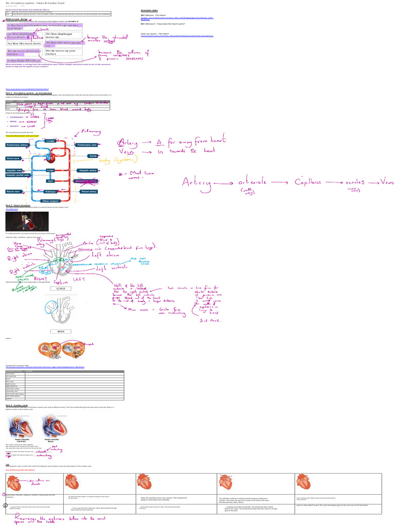 4b. Circulatory System - Heart & Cardiac Cycle | PDF | Heart | Atrium ...