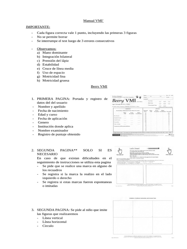 Manual de Evaluación VMI y Puntajes | PDF