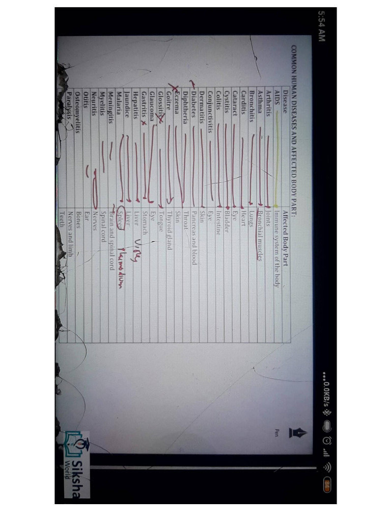 TapScanner Document Scan Overview | PDF