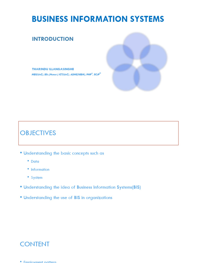 Intro - Business Information | PDF | System | Information System