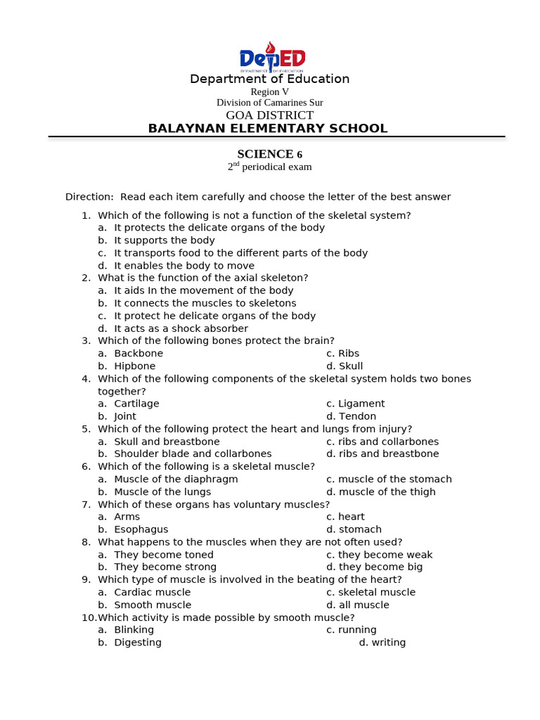 2nd Quarter Exam On Science 2024 | PDF | Skeleton | Muscle
