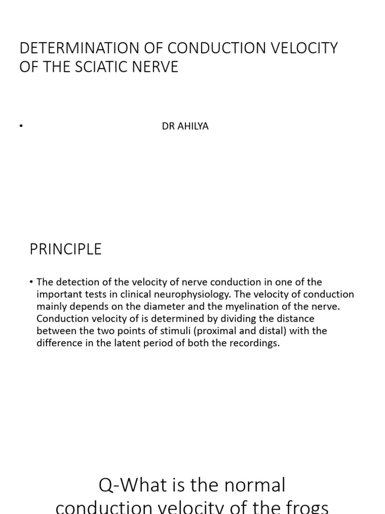 Frog Sciatic Nerve Conduction Velocity | PDF