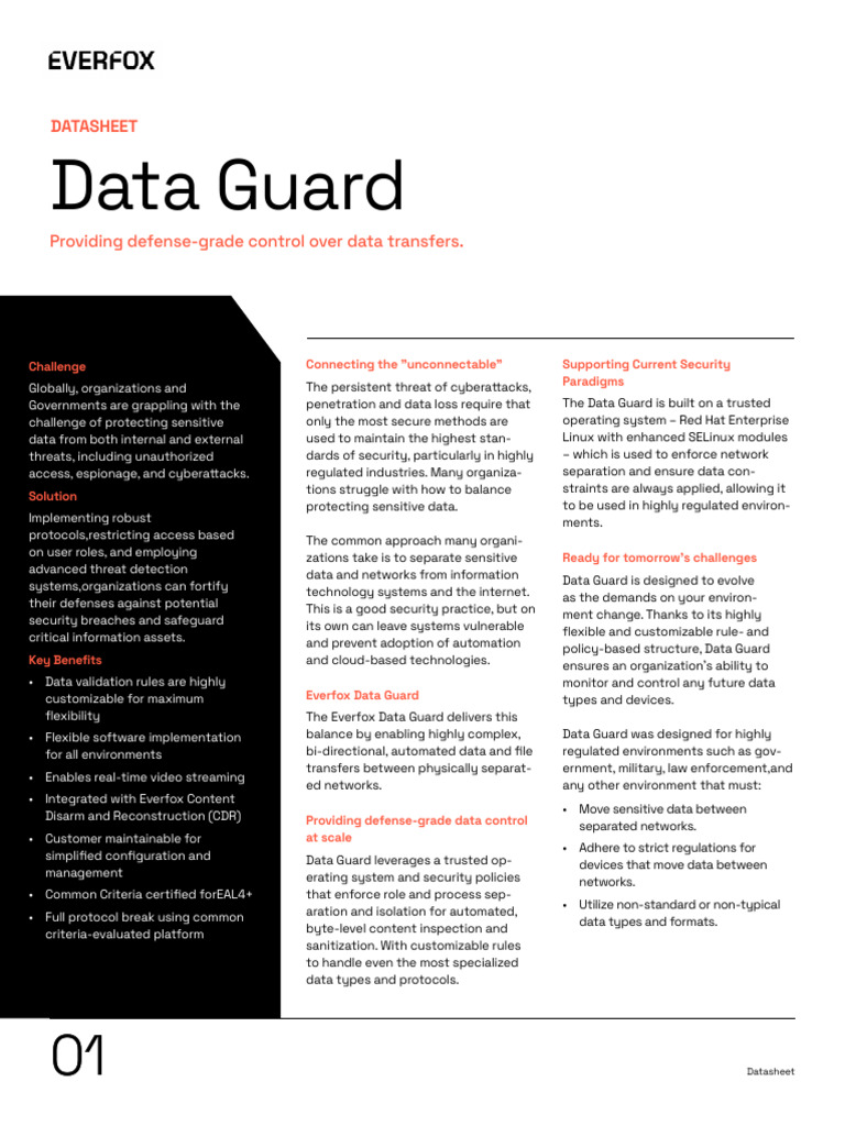 Data Guard Datasheet | PDF | Computer Security | Security