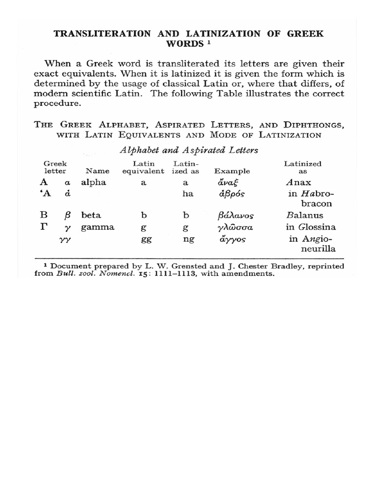 Formation of Names | PDF