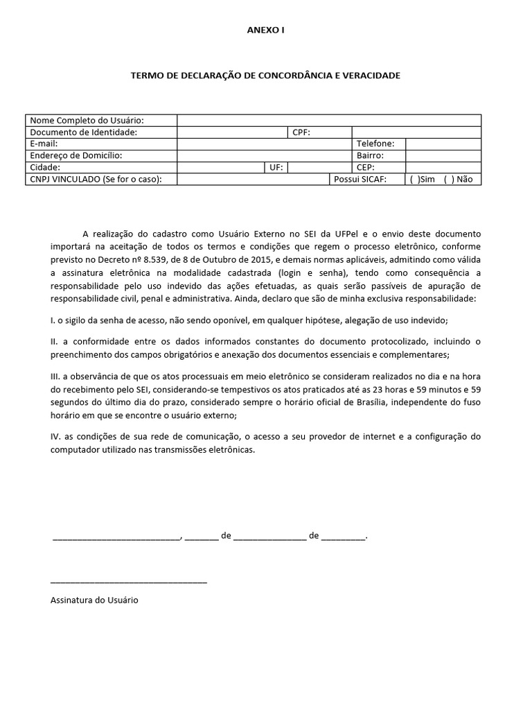 Termo de Concordância para Cadastro SEI UFPel | PDF