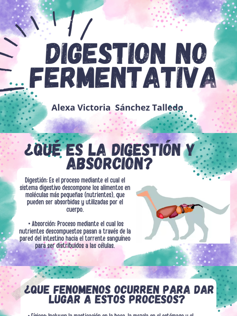 Digestion No Fermentativa | PDF | Digestión | Tracto gastrointestinal