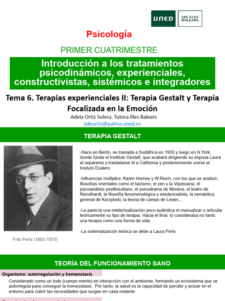 Tema 6. Terapias Experienciales II | PDF | Las emociones | Terapia Gestalt