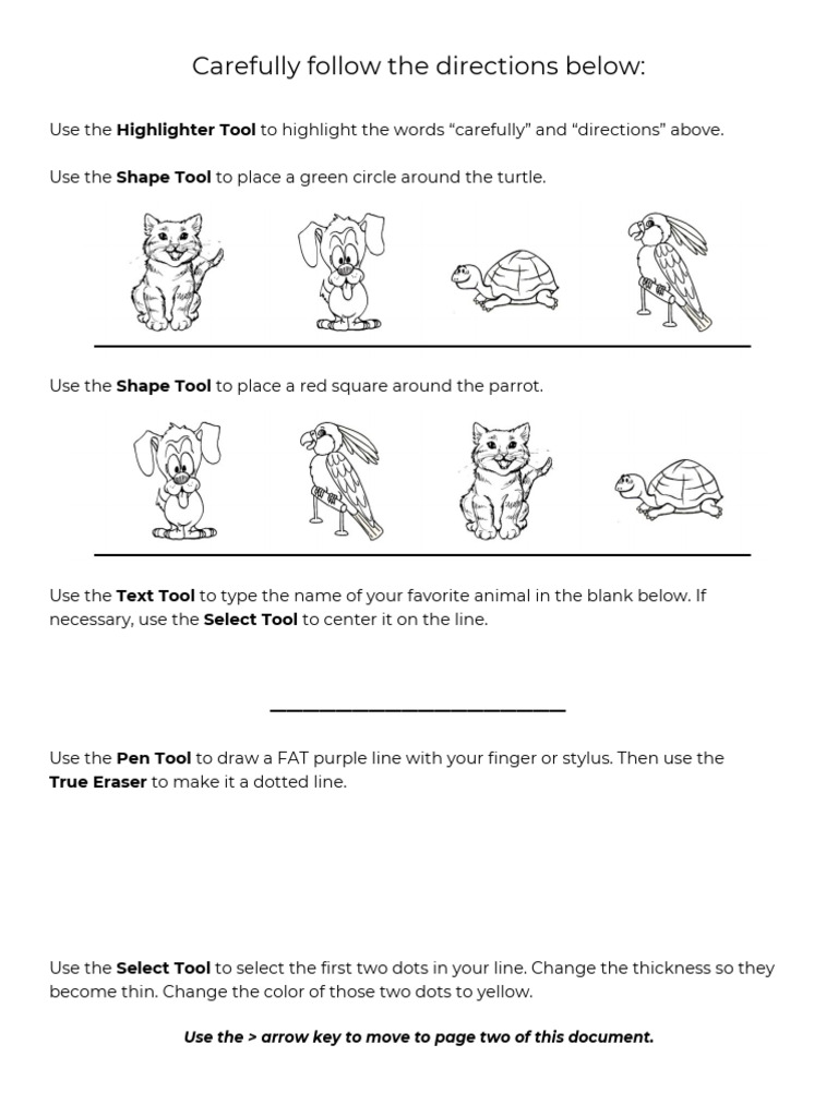 Squid Introduction and Practice | PDF