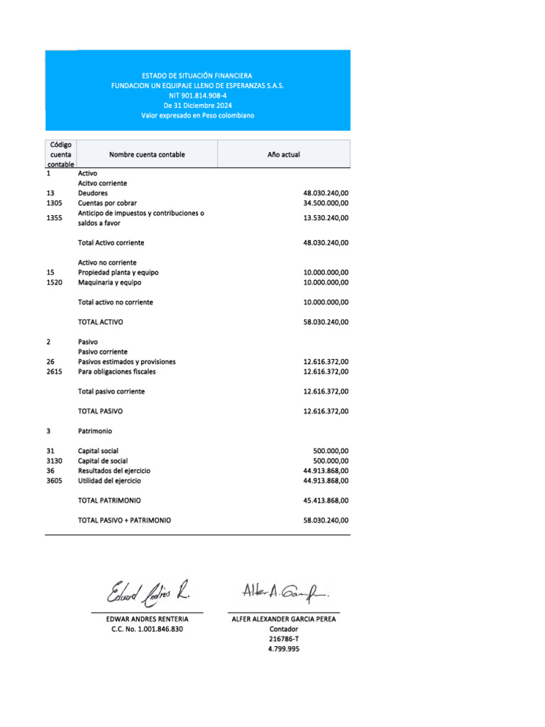 Estado de Situación Financiera - 2024 | PDF | Contabilidad | Business