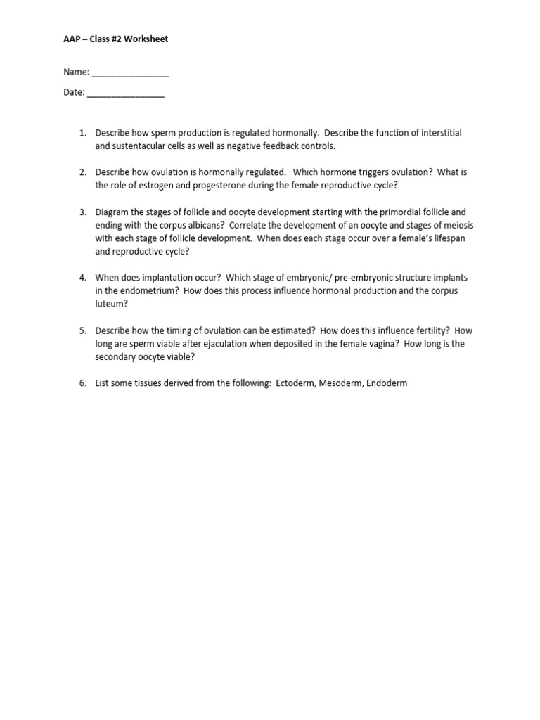 AAP 2 - Worksheet | PDF