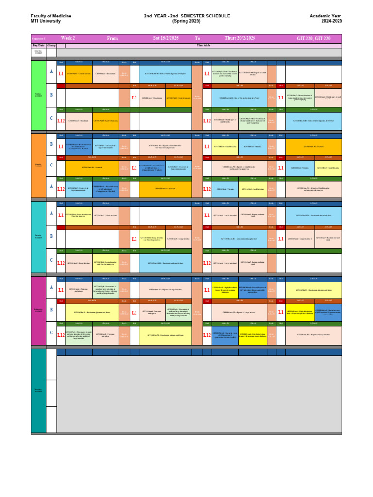 2nd Year - 2nd Week - SCHEDULE - XLSB | PDF | Stomach ...