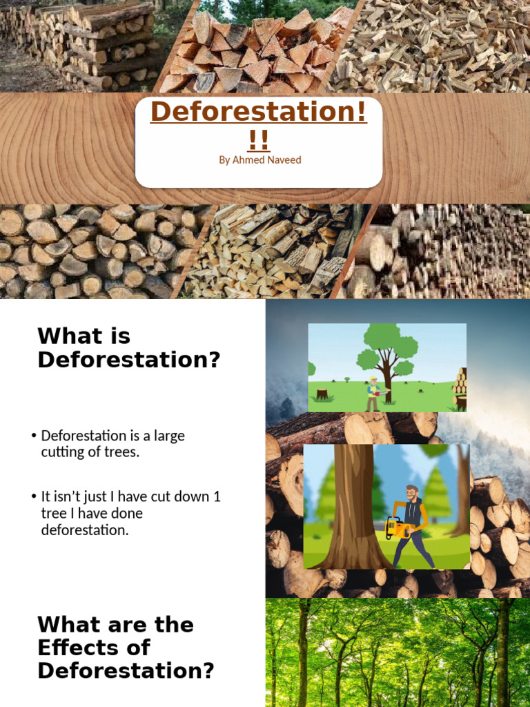 deforestation-power-point-pdf