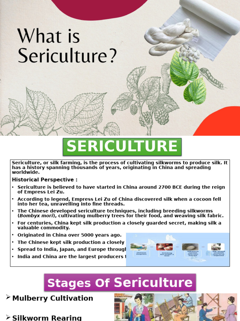 Overview of Sericulture Practices | PDF | Silk | Pupa