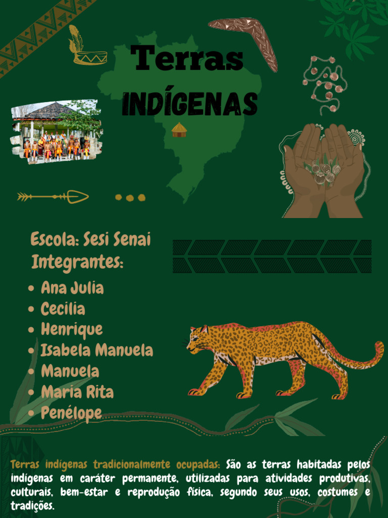 Tipos de Terras Indígenas no Brasil | PDF