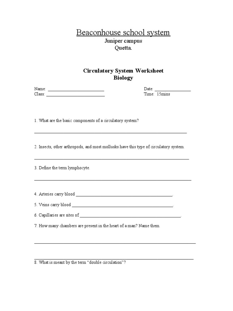 Circulatory System Worksheet  PDF  Circulatory System  Blood For Circulatory System Worksheet Pdf
