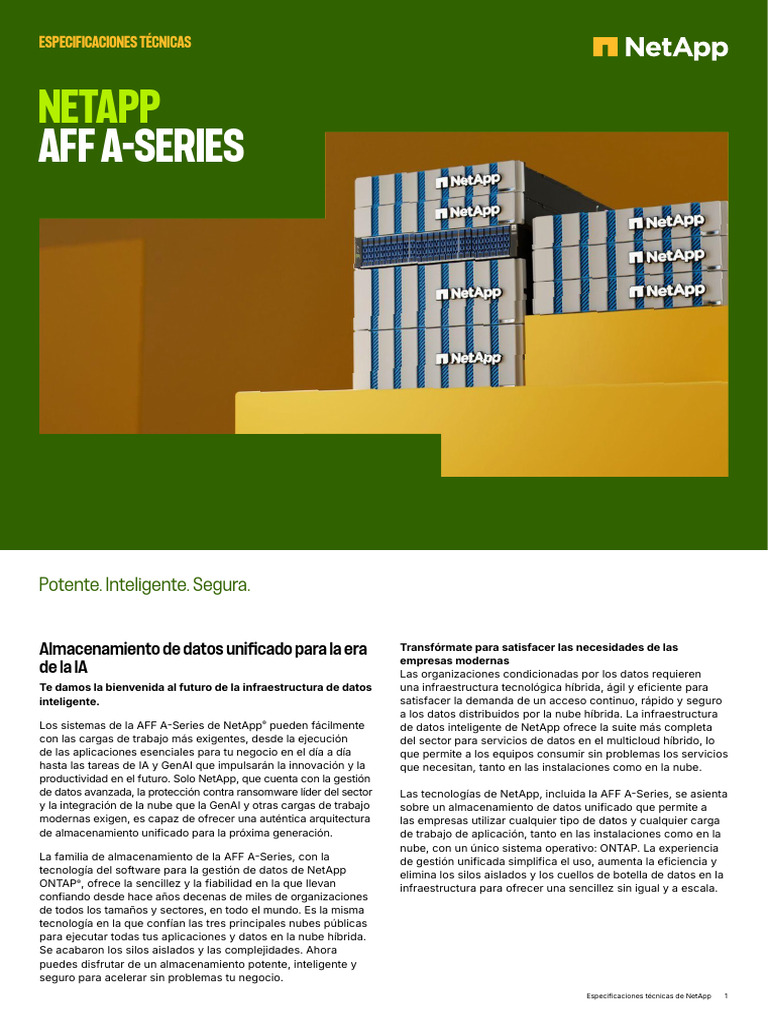NetApp AFF A-Series | PDF | Computación en la nube | Inteligencia ...