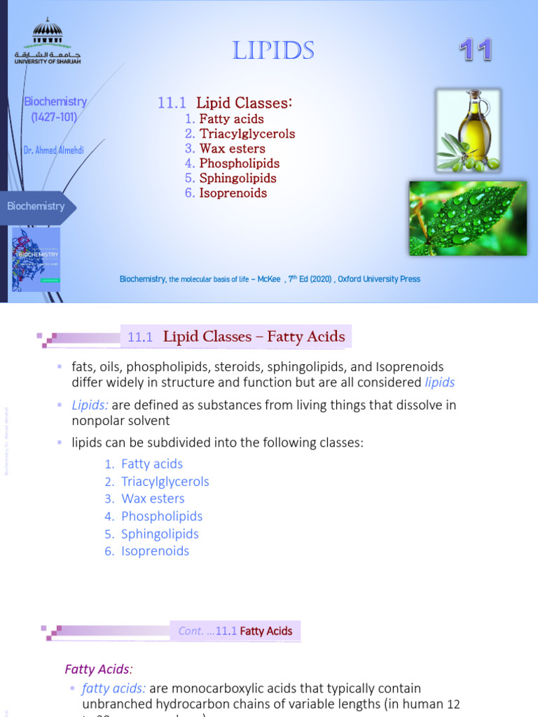 Lipid Classes in Biochemistry Explained | PDF | Lipoprotein | Fatty Acid