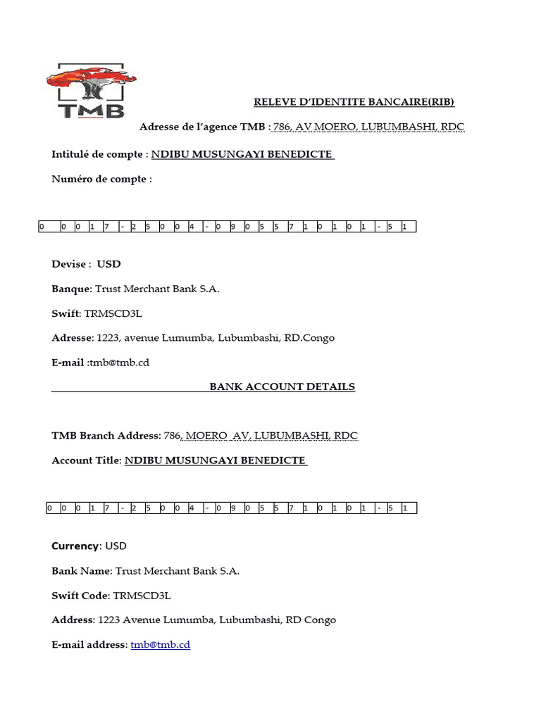 RIB Trust Merchant Bank Lubumbashi | PDF