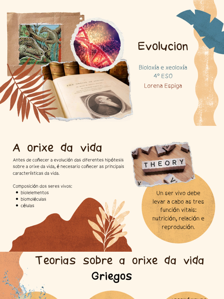 A Orixe Da Vida | PDF