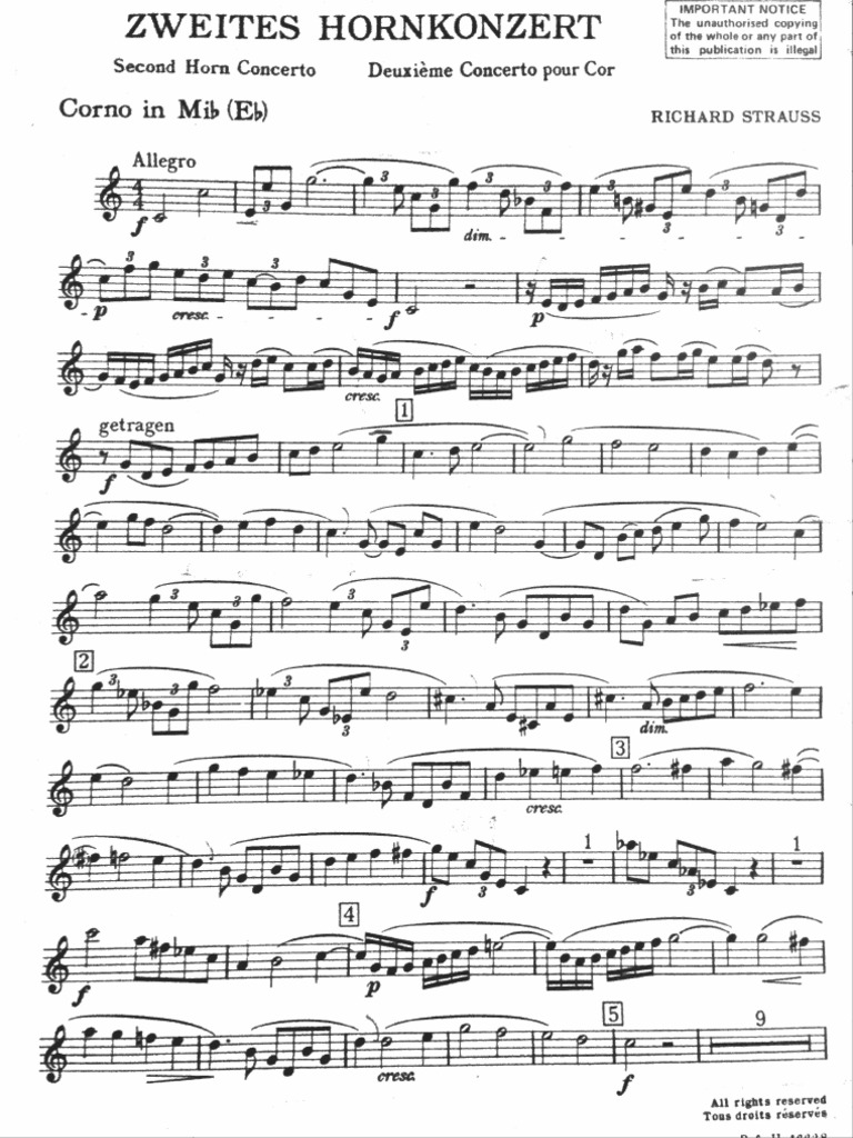 Merp | PDF