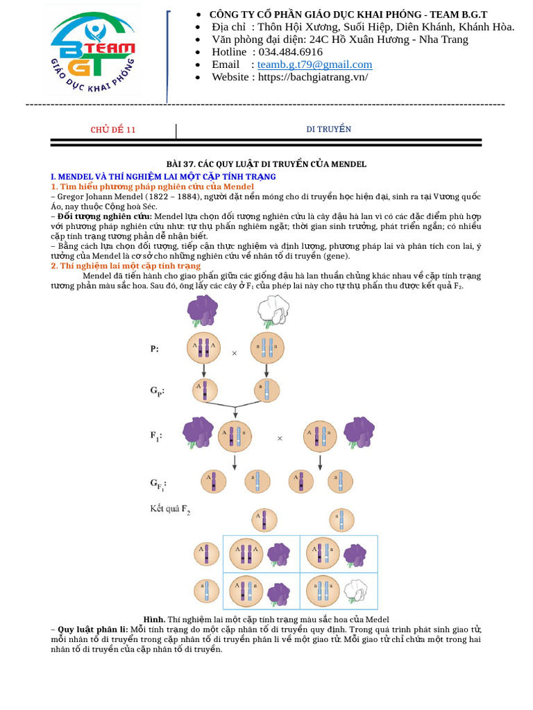 2. Các quy luật di truyền của Mendel | PDF