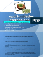 4. analizar oportunidades internacionales[1]
