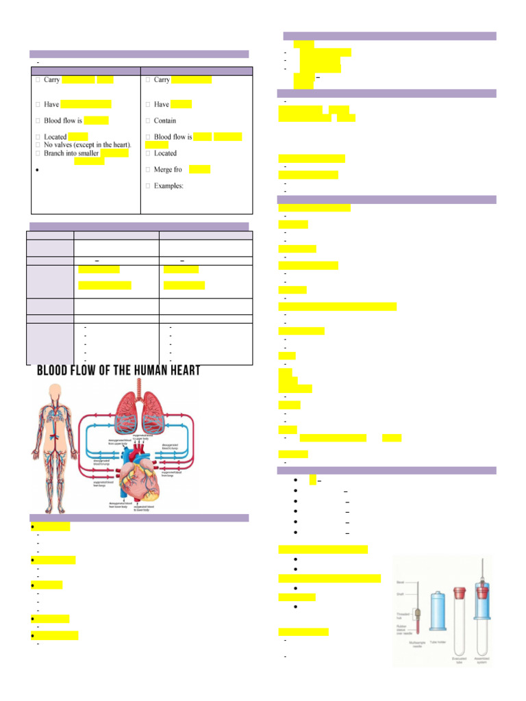 Blood Collection and Vascular System Guide | PDF | Heart | Circulatory ...