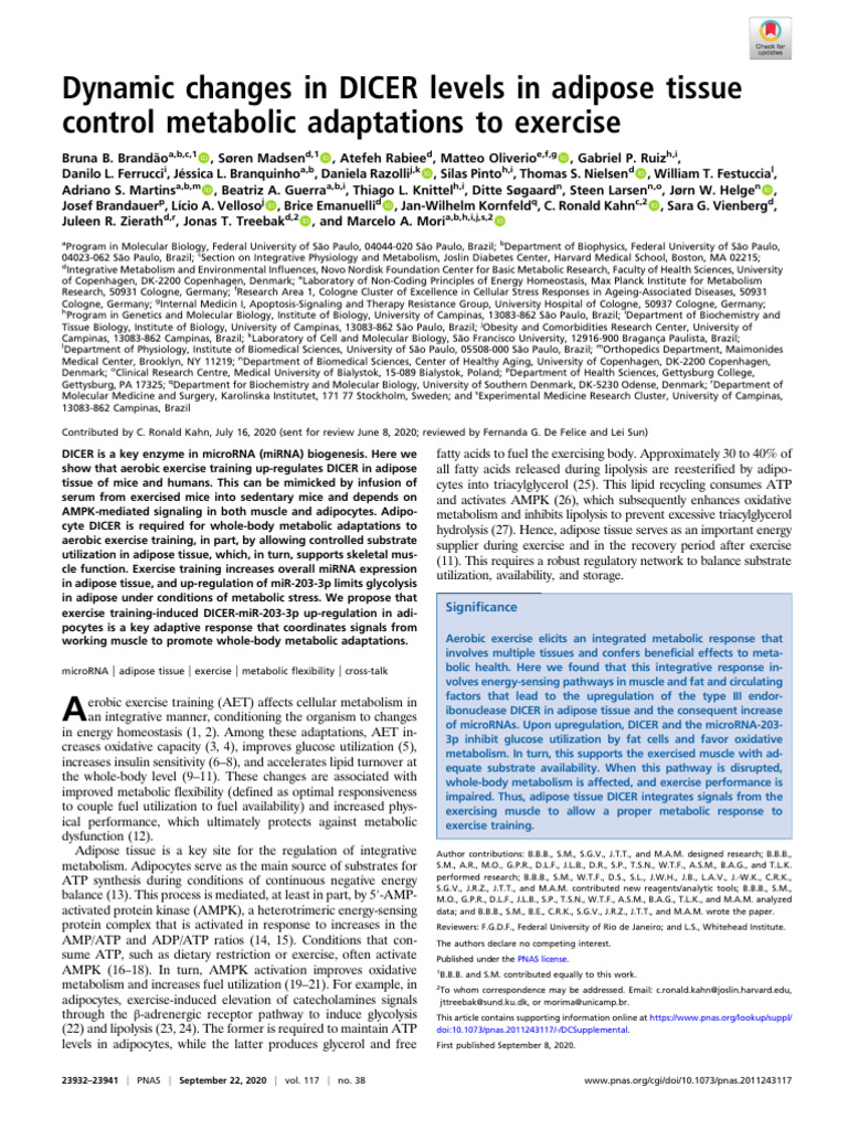 DICER's Role in Exercise Metabolism | PDF | Adipose Tissue | Skeletal ...
