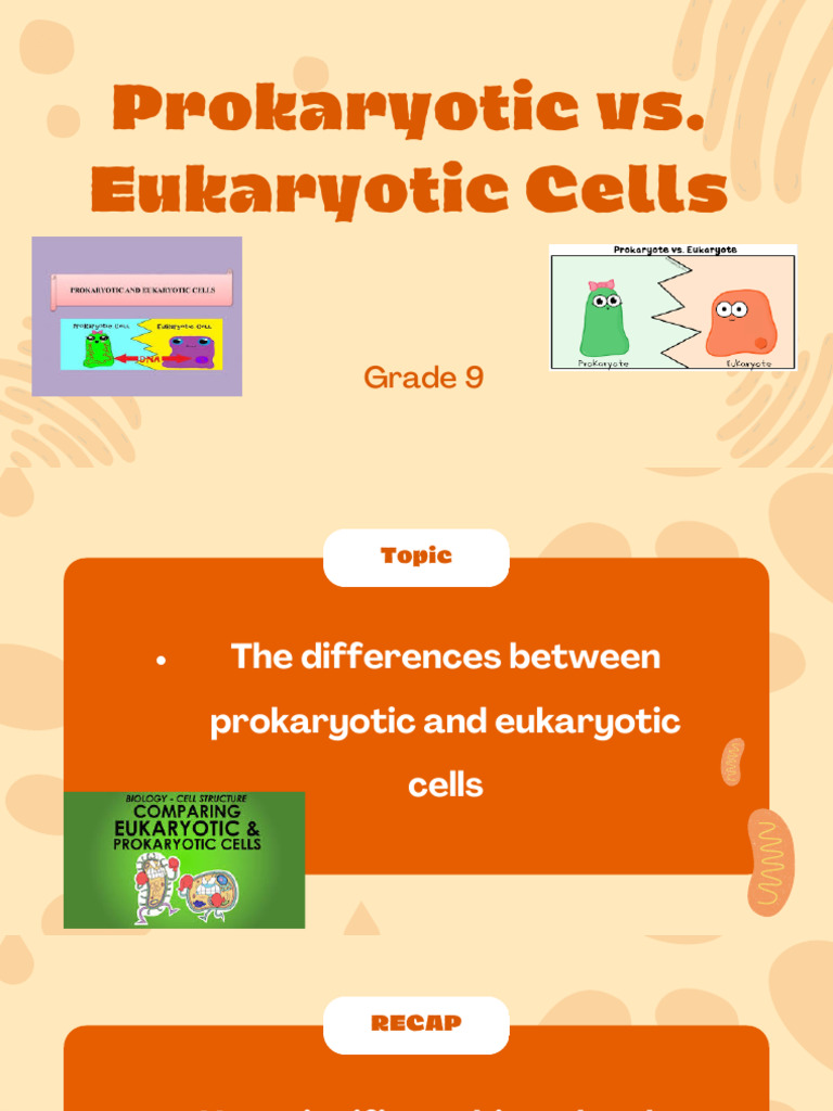 Prokaryotic vs Eukaryotic Cells Explained | PDF | Cell (Biology ...
