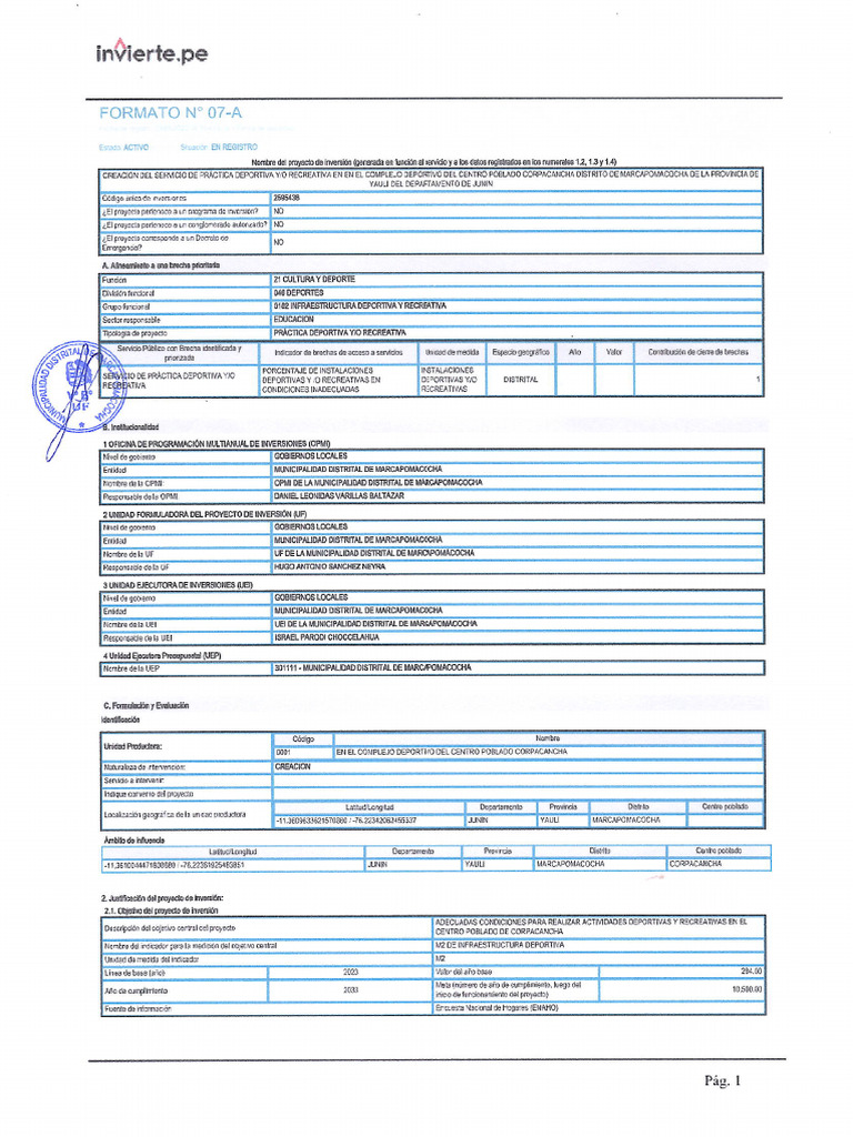 Formato 07a | PDF